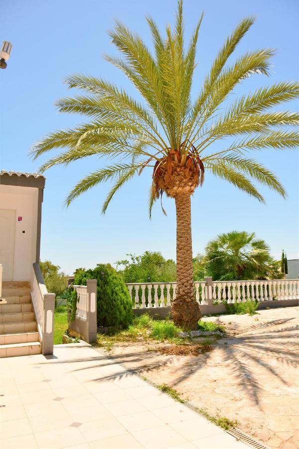 Kiwidestiny Alicante San Juan  Екстериор снимка