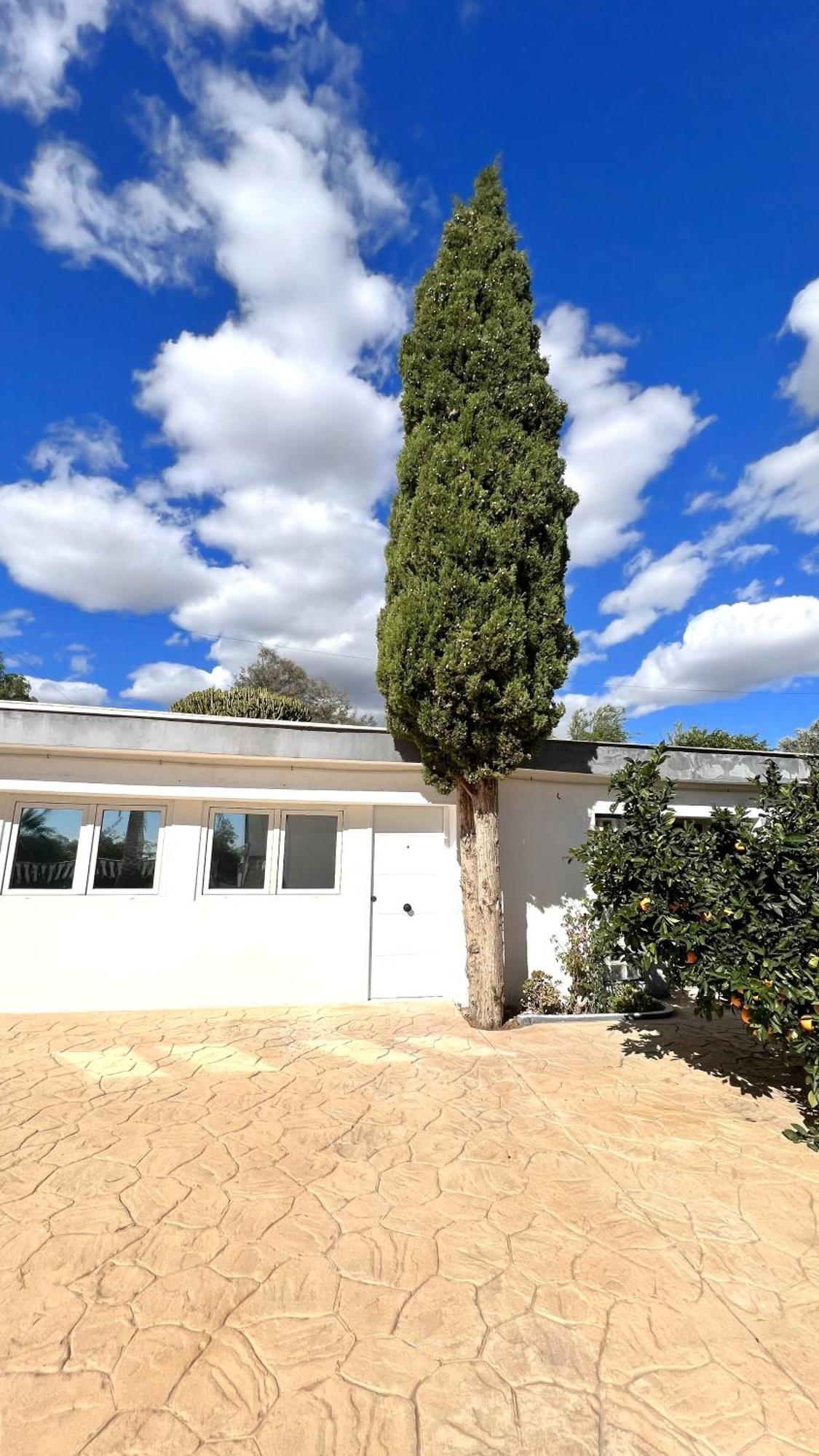 Kiwidestiny Alicante San Juan  Екстериор снимка