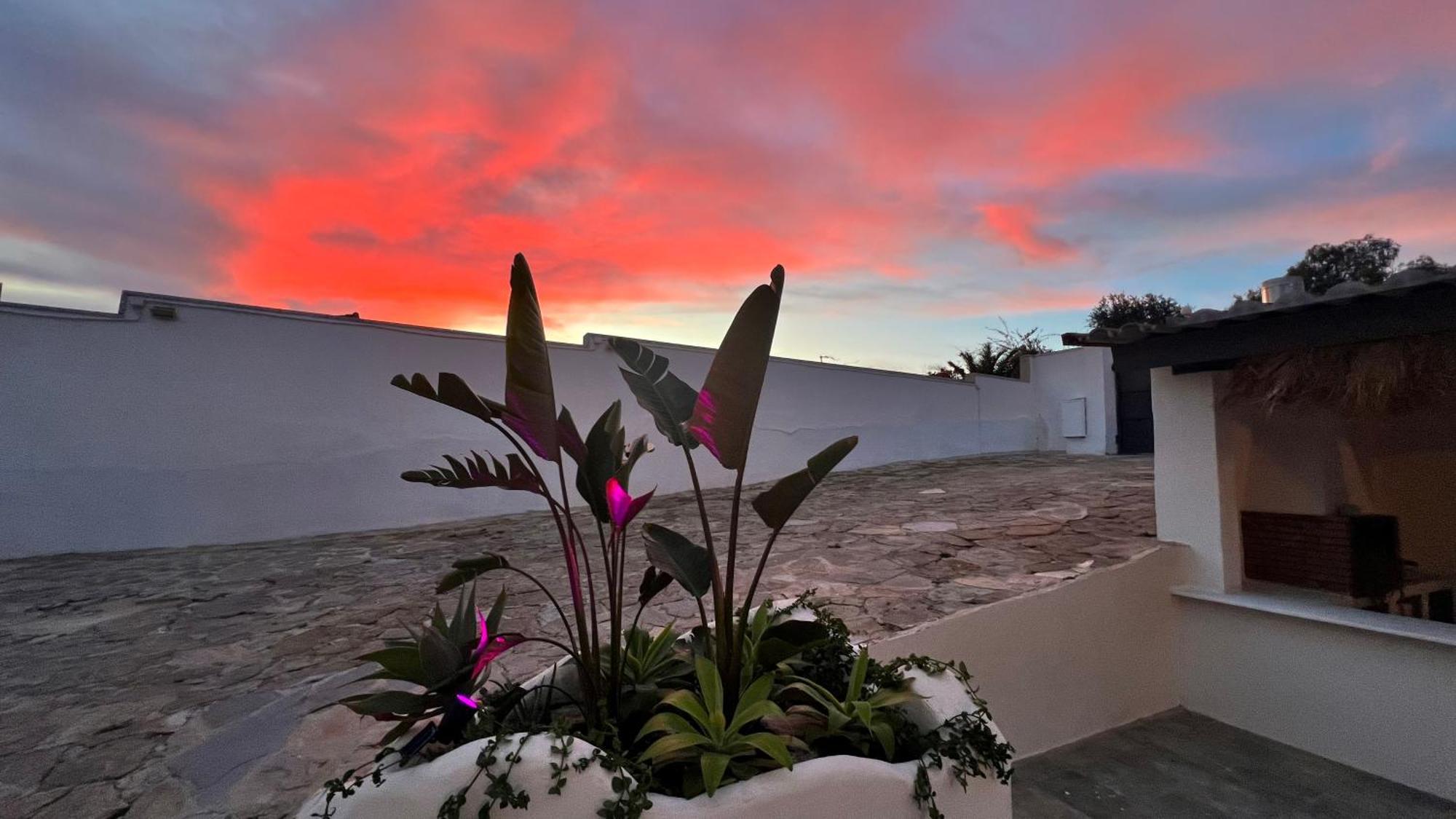 Kiwidestiny Alicante San Juan  Екстериор снимка